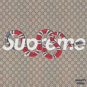 Meet your Posher, Roman